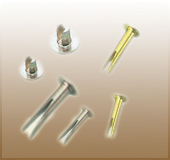 Bifurcated Rivets