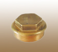 Brass PPR Plug